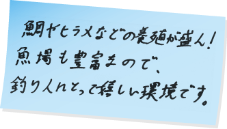 鯛やヒラメなどの養殖が盛ん!漁場も豊富なので、釣り人にとって嬉しい環境です。